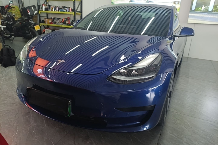 Tesla Model 3 2021 #3 Tesla Model 3 2021 car image #3