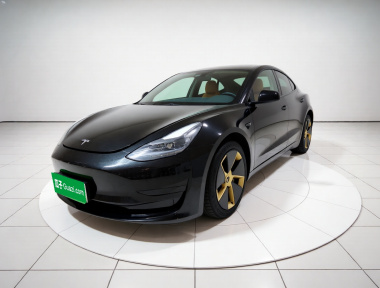 Tesla Model 3 2021 Tesla Model 3 2021 car image
