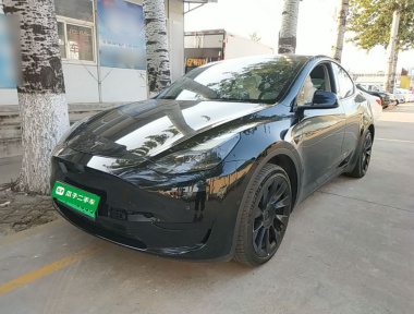 Tesla Model Y 2023 car image 