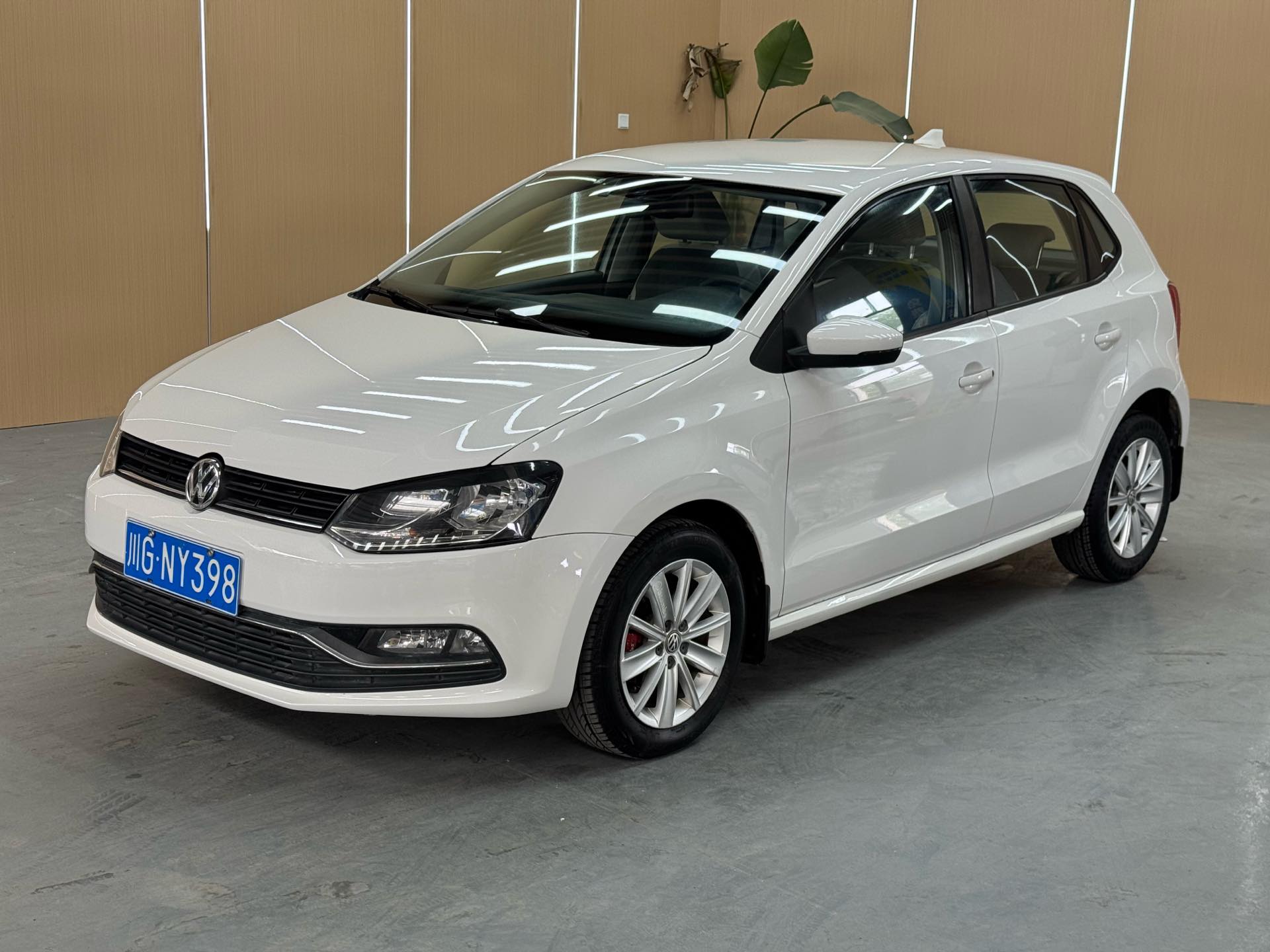 Volkswagen Polo 2015 car image 
