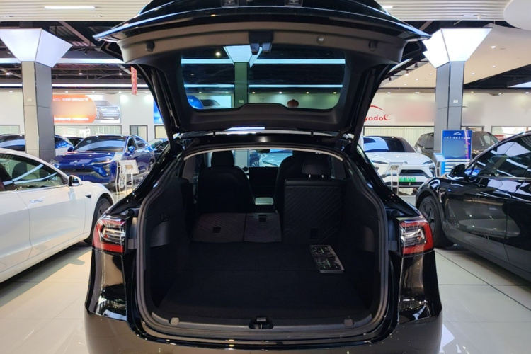 Tesla Model Y 2021 car image #19