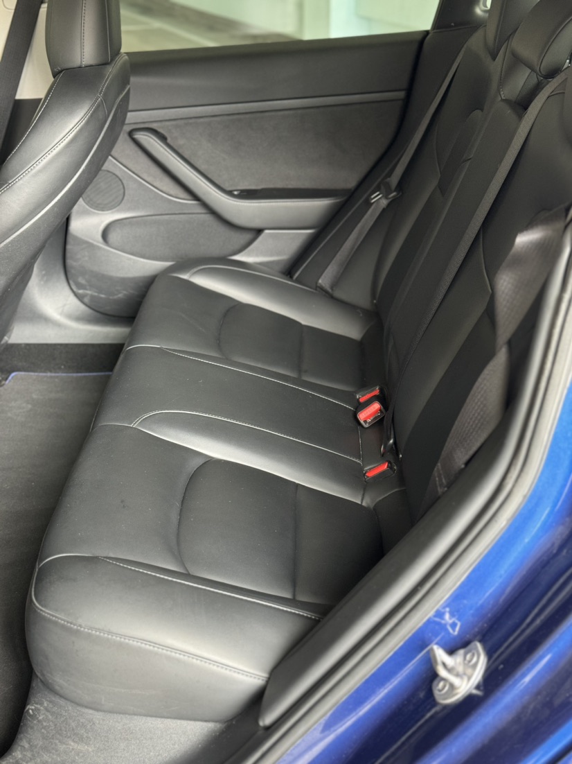 Tesla Model 3 2021 #6 Tesla Model 3 2021 car image #6