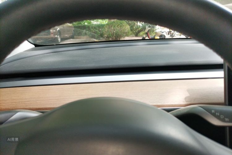 Tesla Model 3 2020 immagine di auto #13