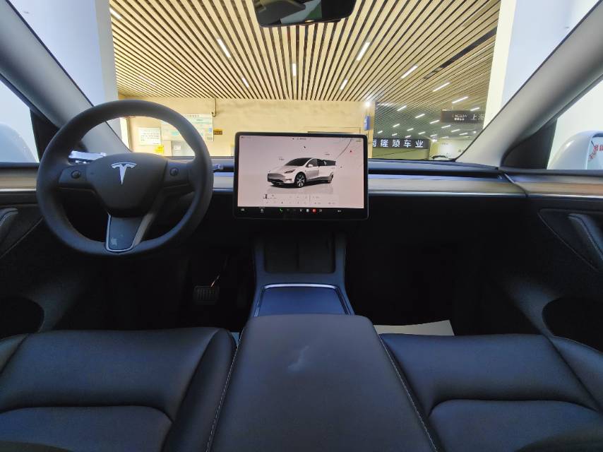Tesla Model Y 2022 car image #8