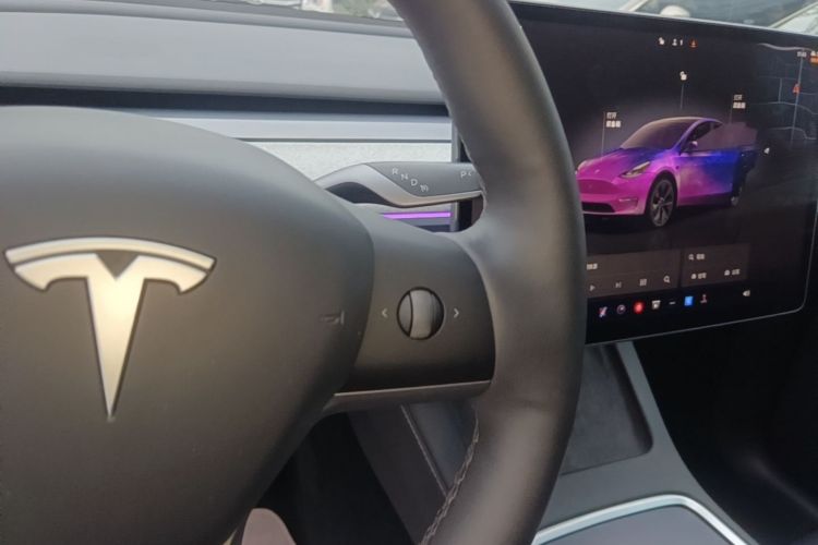 Tesla Model Y 2024 car image #14