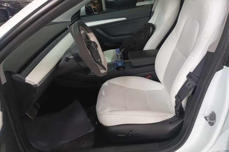 Tesla Model 3 2021 car image #19