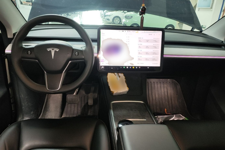 Tesla Model Y 2024 #10 Tesla Model Y 2024 car image #10