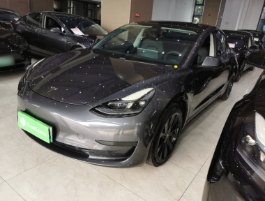 Tesla Model 3 2021 Tesla Model 3 2021 car image