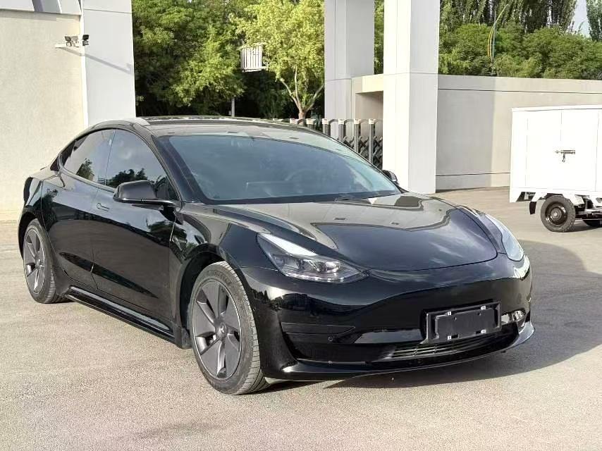 Tesla Model 3 2021 #3 Tesla Model 3 2021 car image #3