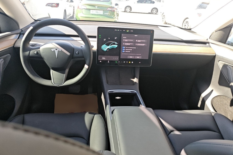 Tesla Model Y 2022 car image #10