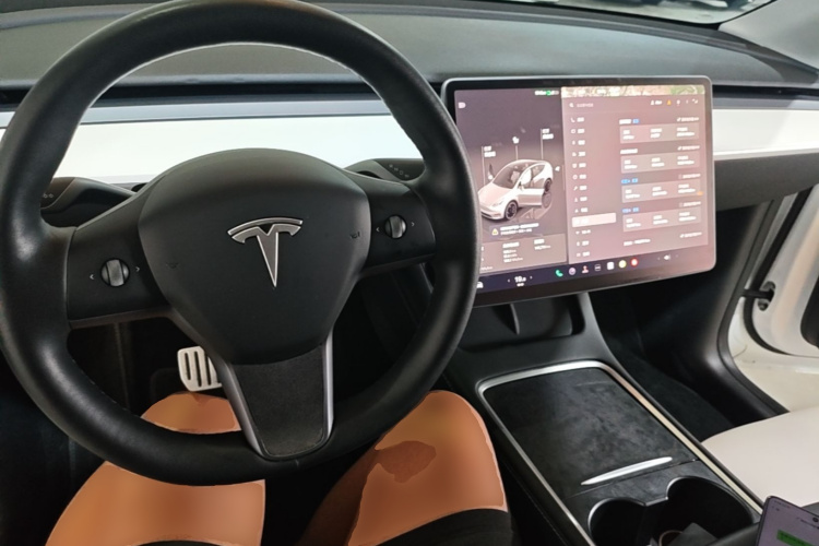 Tesla Model Y 2021 car image #11