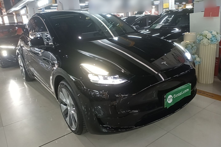 Tesla Model Y 2022 car image #4