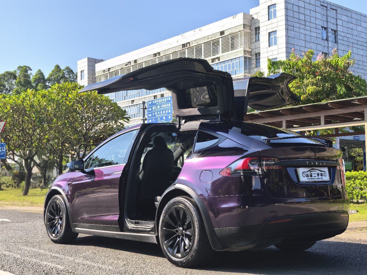 Tesla Model X 2021 car image #11