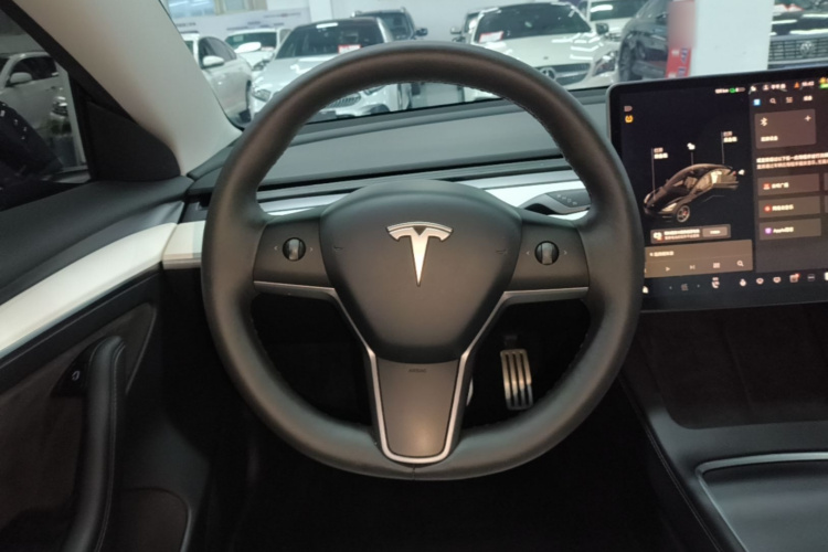 Tesla Model 3 2021 #11 Tesla Model 3 2021 car image #11