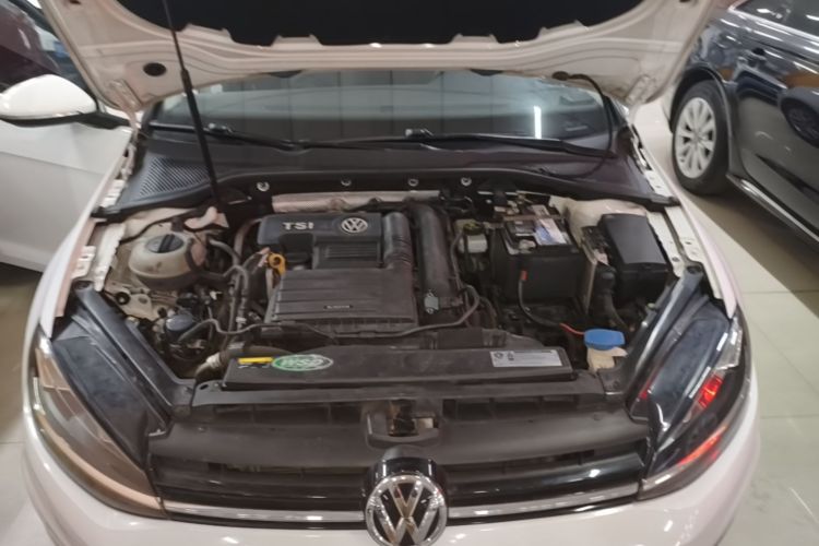 Volkswagen Golf 2019 #19 Volkswagen Golf 2019 car image #19