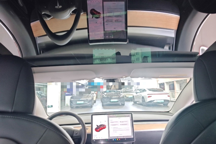 Tesla Model 3 2020 car image #18