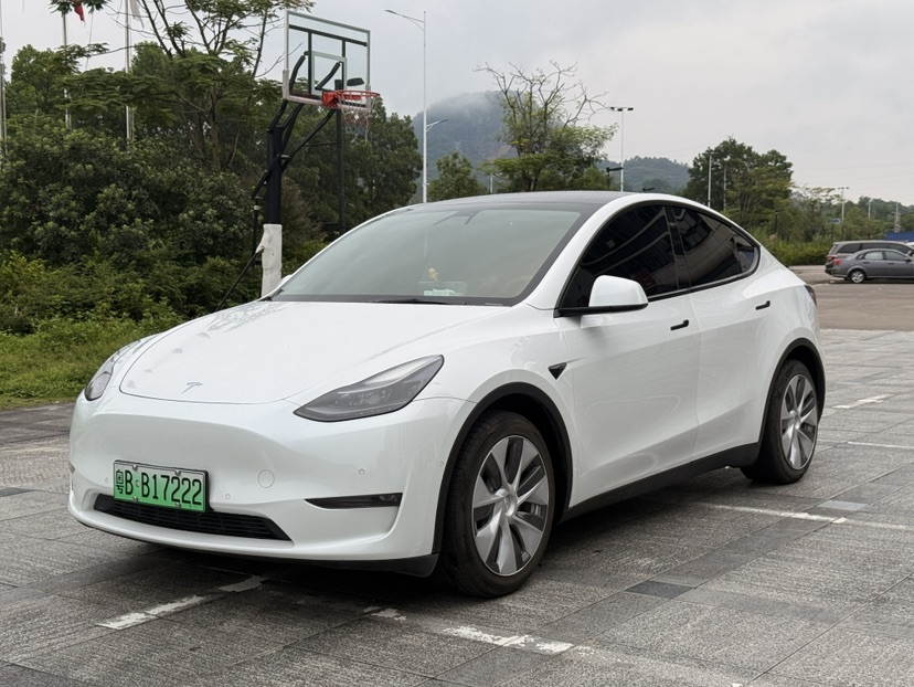 Tesla Model Y 2022 car image 