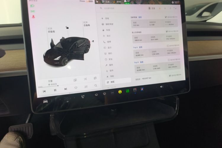 Tesla Model 3 2021 car image #13