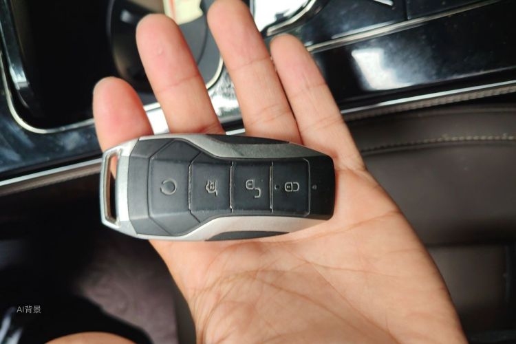 BYD Han 2021 car image #10