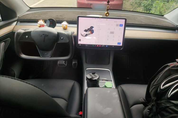 Tesla Model Y 2021 car image #12