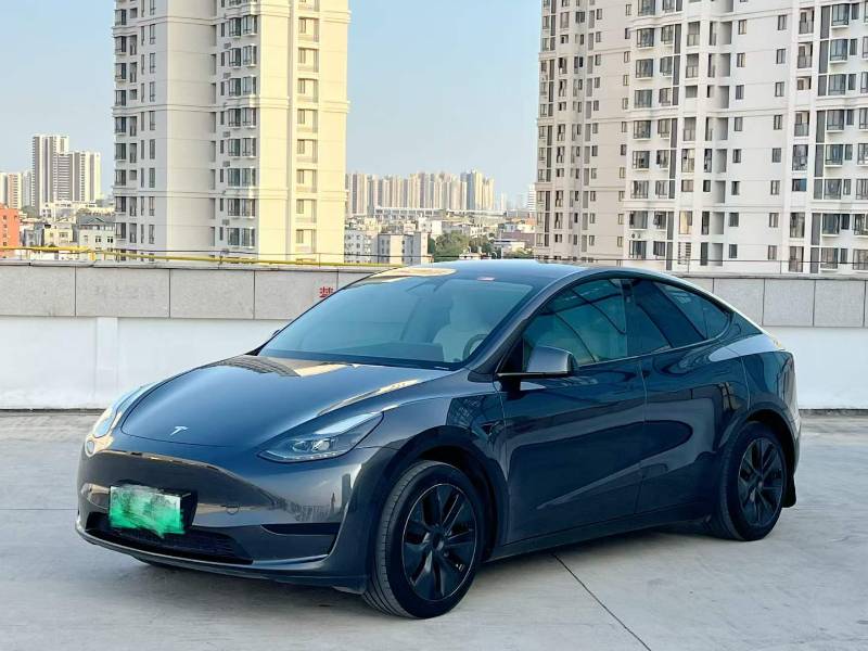 Tesla Model Y 2024 Tesla Model Y 2024 imagen de coche