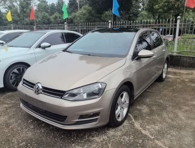Volkswagen Golf 2015 car image 