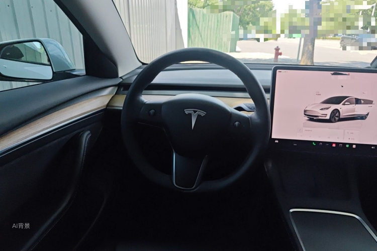Tesla Model 3 2022 car image #12