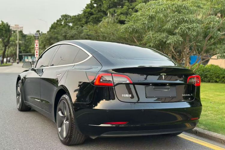Tesla Model 3 2020 #5 Tesla Model 3 2020 car image #5