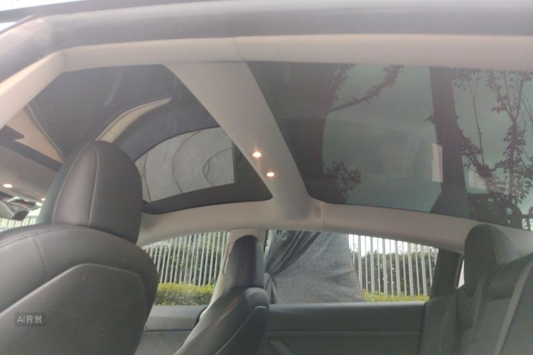 Tesla Model 3 2022 immagine di auto #20
