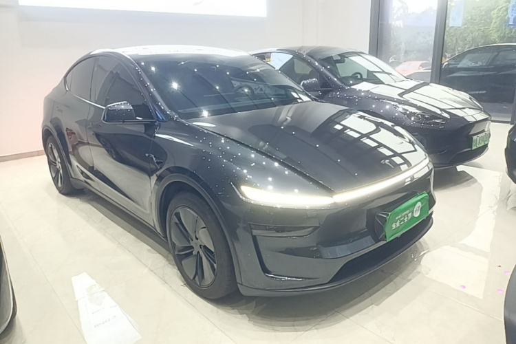 Tesla Model Y 2025 immagine di auto #4