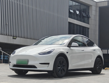 Tesla Model Y 2024 car image 