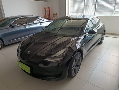 Tesla Model 3 2020 car image 