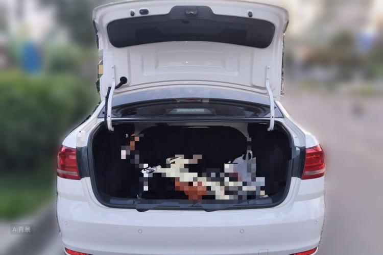 Volkswagen Lavida 2019 car image #21
