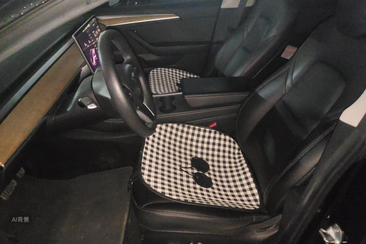 Tesla Model 3 2021 car image #17