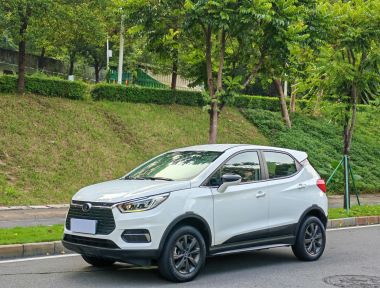 BYD Yuan New Energy 2019 car image 