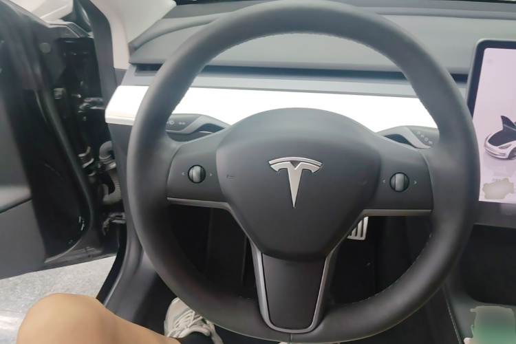 Tesla Model 3 2023 immagine di auto #11