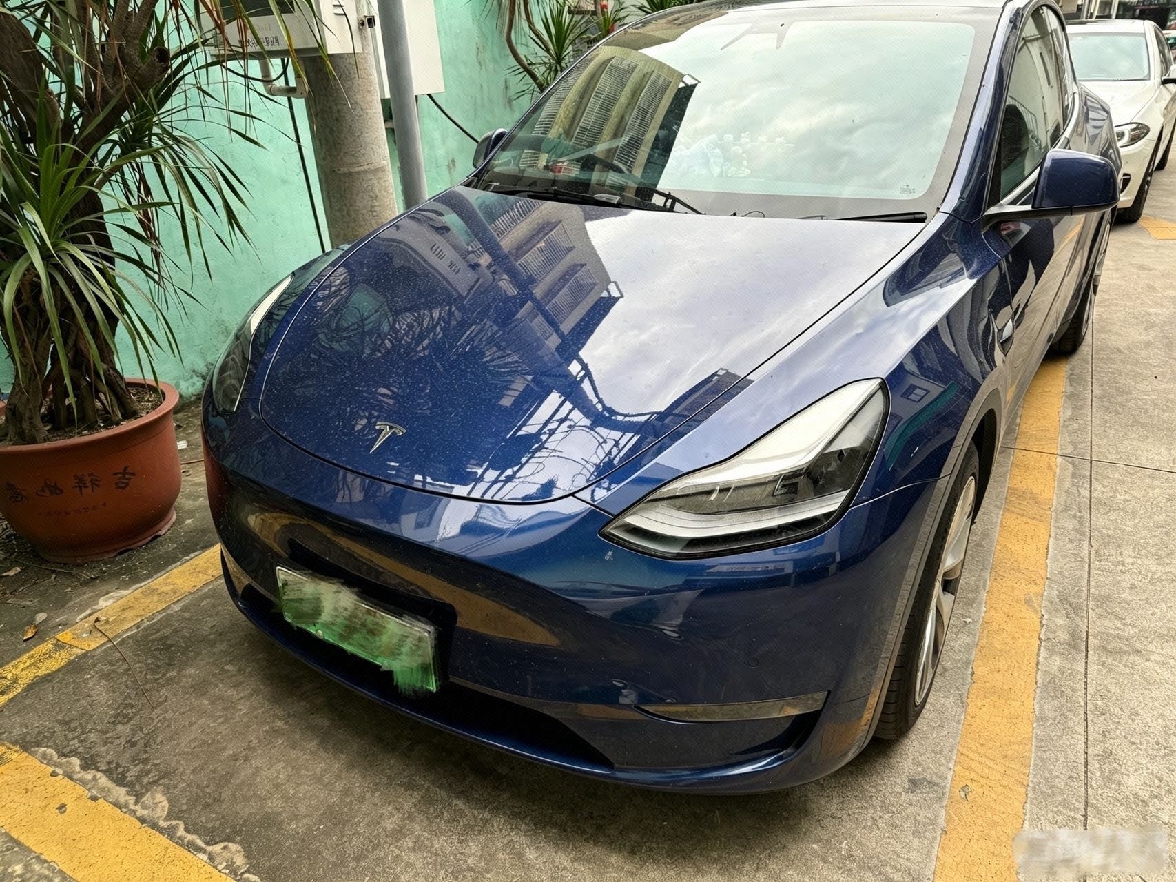 Tesla Model Y 2022 car image 