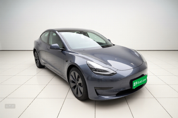 Tesla Model 3 2021 #4 Tesla Model 3 2021 صورة سيارة #4