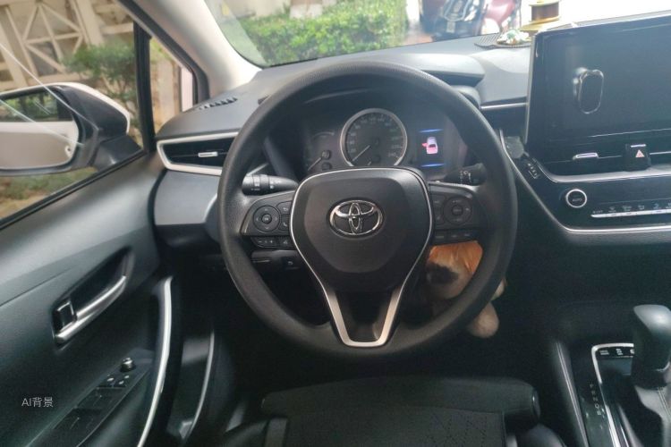 Toyota Corolla 2020 #12 Toyota Corolla 2020 car image #12