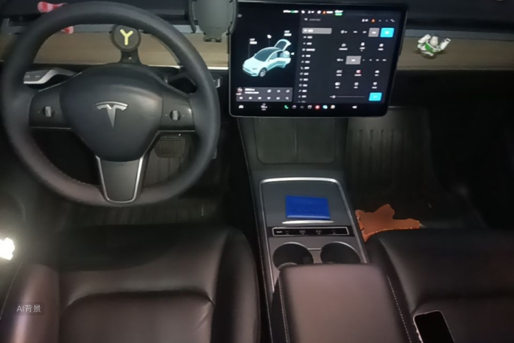 Tesla Model Y 2021 car image #11