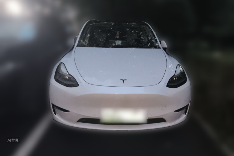 Tesla Model Y 2021 #3 Tesla Model Y 2021 car image #3