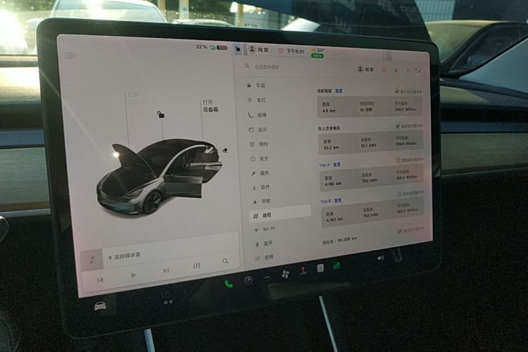 Tesla Model 3 2020 immagine di auto #12