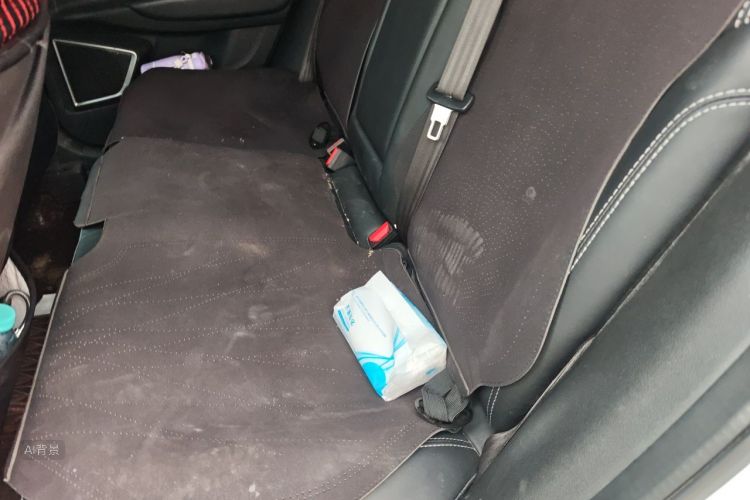 GEELY Emgrand GS 2018 car image #19
