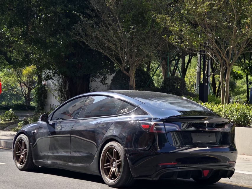 Tesla Model 3 2020 car image #3