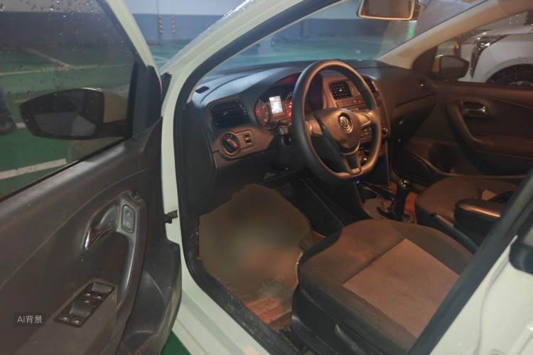 Volkswagen Polo 2016 car image #18