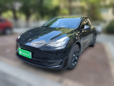 Tesla Model Y 2021 Tesla Model Y 2021 car image