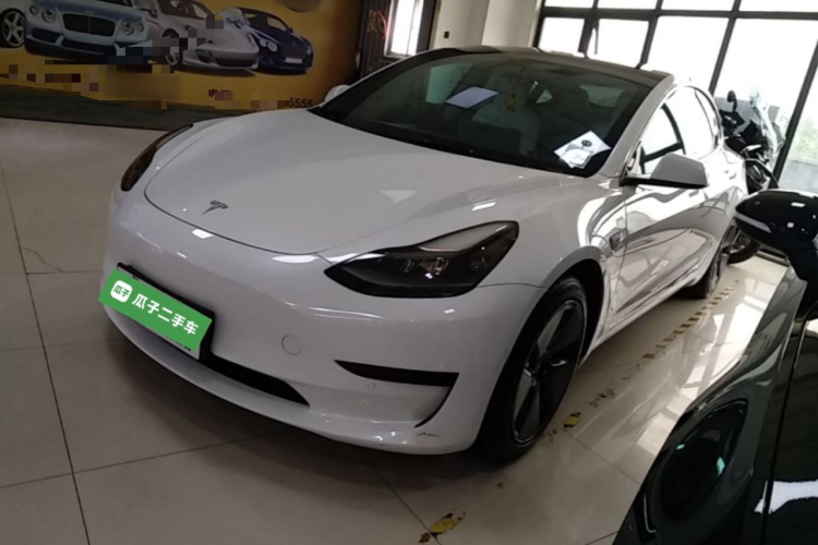 Tesla Model 3 2021 #2 Tesla Model 3 2021 car image #2
