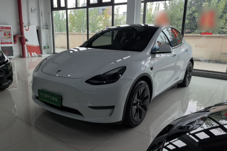 Tesla Model Y 2021 car image #2