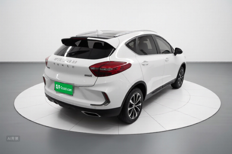 GEELY Emgrand GS 2019 immagine di auto #7