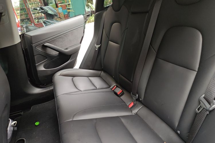 Tesla Model 3 2020 car image #19